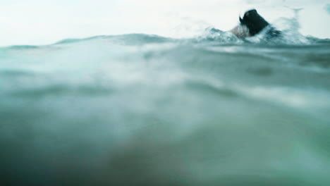 hombre buceando en el mar