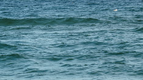 A-lone-seagull-glides-above-the-rhythmic-dance-of-deep-blue-sea-waves