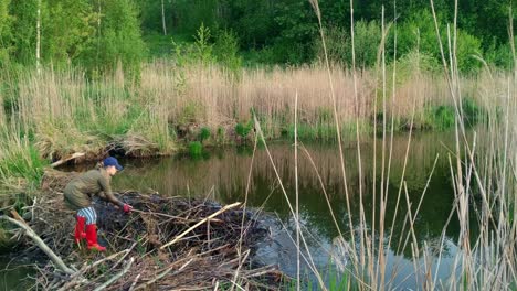 Woman-worker-periodically-removing-beaver-dam-with-bare-hands,-static,-day