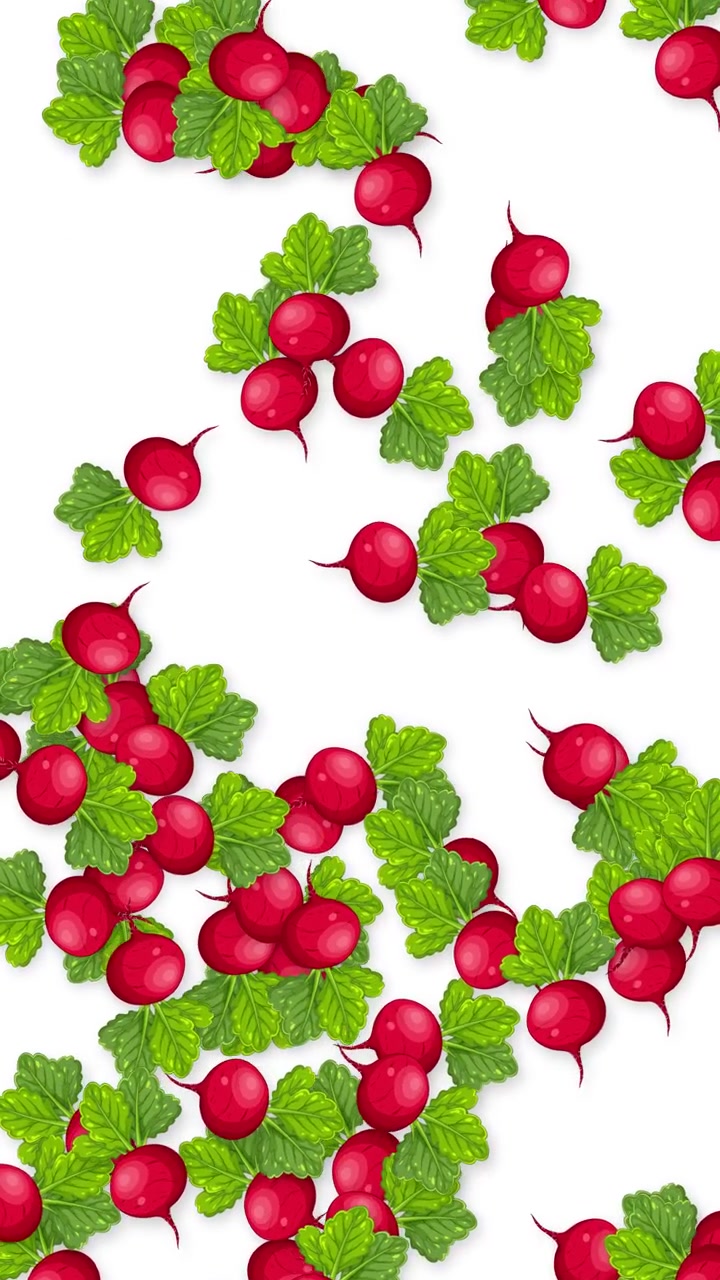 Fresh red radishes with green leaves fall vertically against a clean white background.