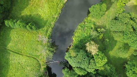 cerca del río prado y bosque en medio del verano vuelo aéreo de alto ángulo