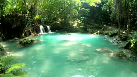 Camino-Sobre-La-Selva-En-La-Orilla-Del-Río