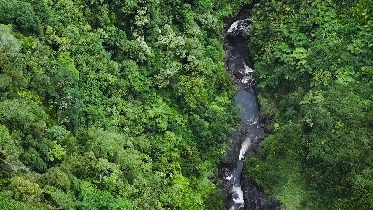 aviones no tripulados antenas bosque verde panorámica hacia abajo