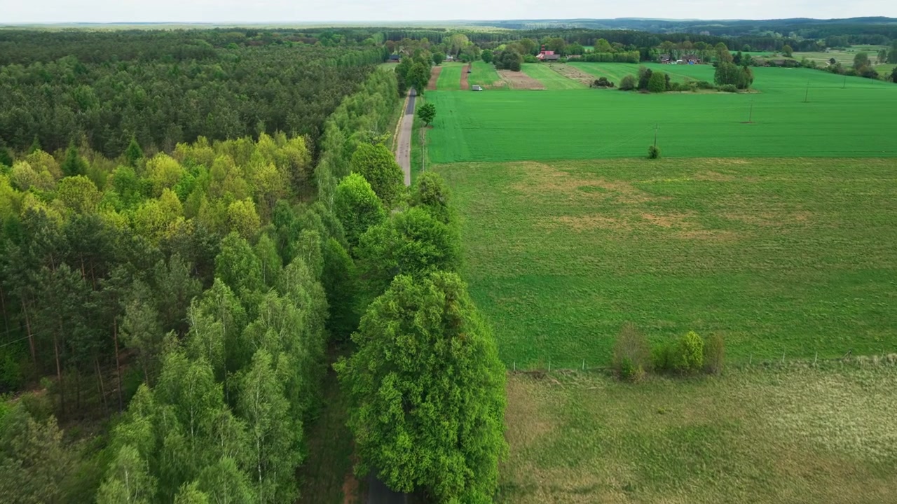 Záběr z dronu na silnici procházející hustým lesem v Polsku.