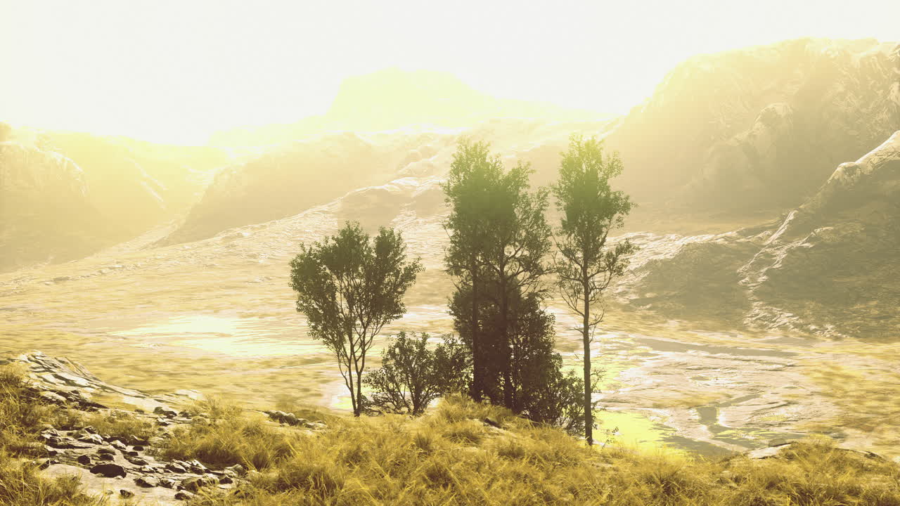 Scenic landscape with trees and hills bathed in soft golden sunlight