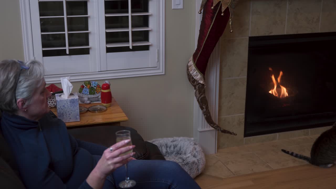 노인 과부 는 벽난로 와 크리스마스 트리  에서 혼자 와인 한 잔 을 마신다