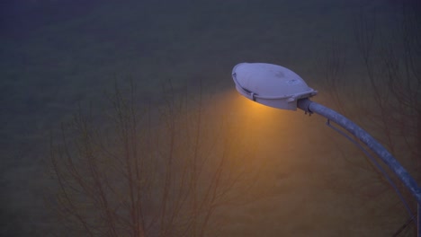 white curved street lamp emits warm yellow light at dusk with dead trees behind