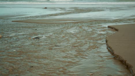 tilting up shot of a stream flowing and joining the ocean at a beach in new zealand