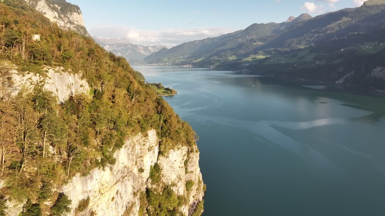 lake's calm surface meets steep cliff edges covered in dense greenery, framed by distant mountains under a clear blue sky in Switzerland