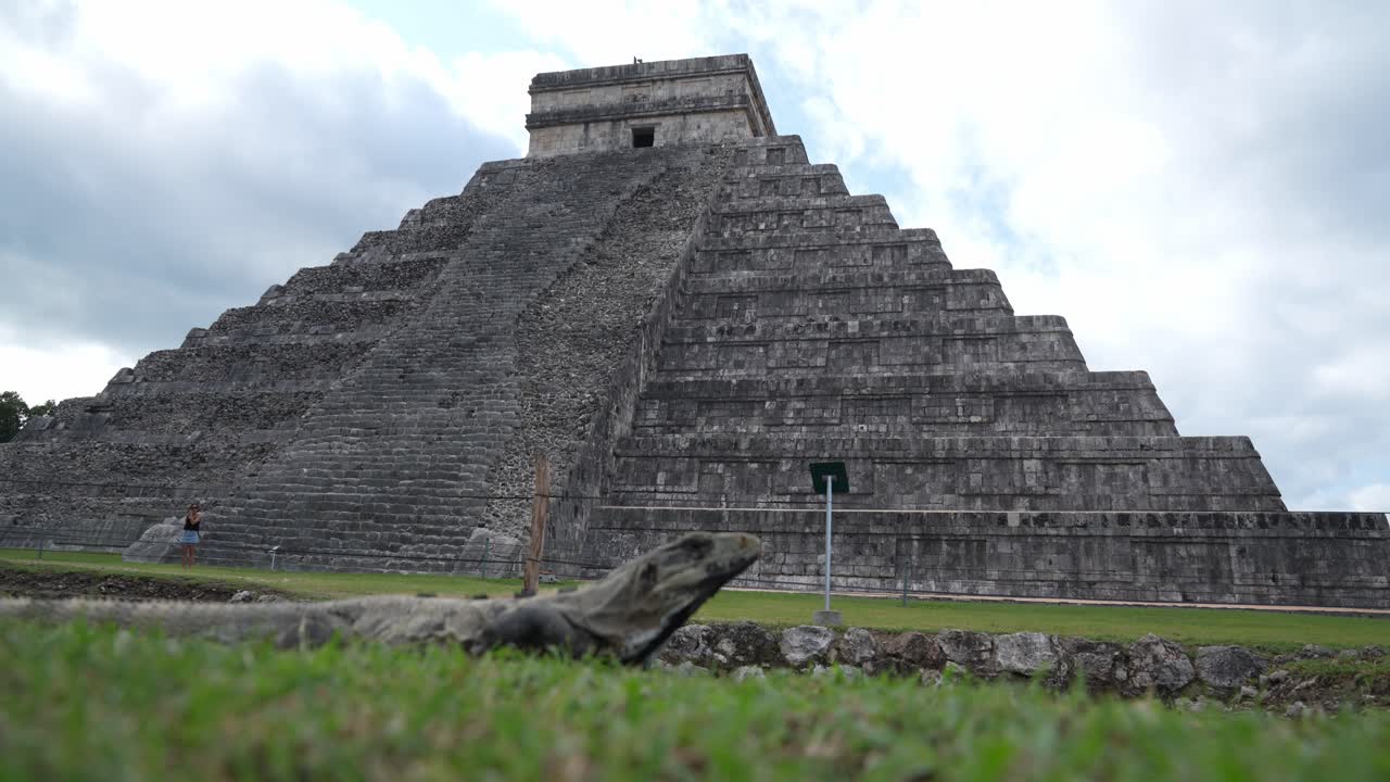 Detailed close-up of an iguana resting on the grass in front of the famous El Castillo pyramid at Chichen Itza, Mexico.