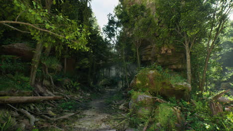 a lush, green jungle path