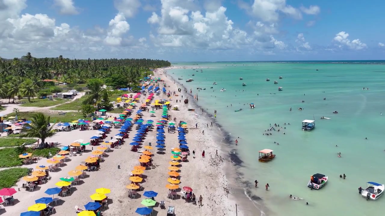 Cena de Praia em Maragogi, Alagoas, Brasil. Paisagem Turística. Fundo Caribenho. Cenário de Viagem. Destino de Férias. Cena Deslumbrante. Cena de Praia em Maragogi, Alagoas, Brasil.
