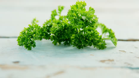 Fresh-coriander-leaves-on-wooden-table-4k