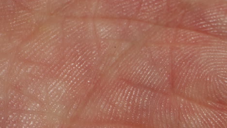 Close-up of man hand skin texture. Macro Detailed human skin, lines on hand palm. Life line