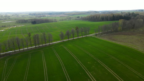 Paisaje-Aéreo-Con-Huellas-De-Tractor-En-Los-Exuberantes-Campos-Verdes