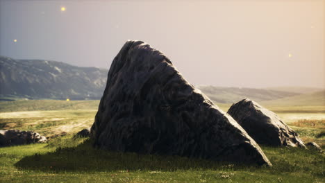 piedra oscura en un campo
