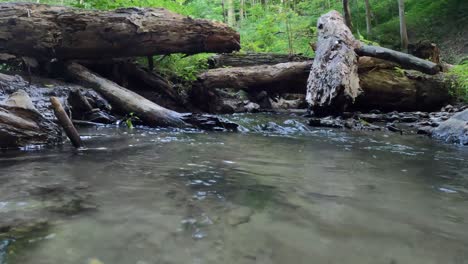 Fließendes-Wasser-Eines-Baches-Durch-Die-Bäume