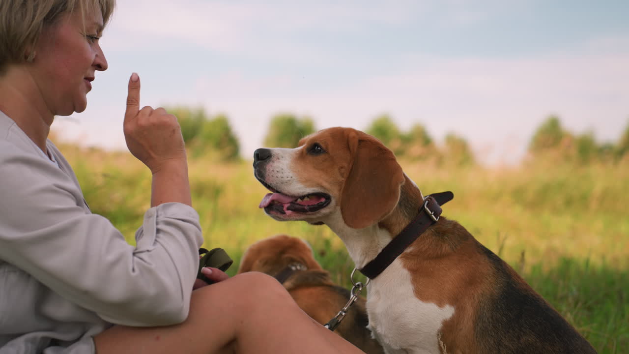 Dog owner seated in grassy field holding hand out as if offering a treat while two attentive dogs, tongues out, gaze at her with leashes around their necks, eagerly awaiting