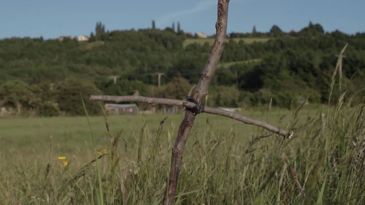 Handmade wooden cross in a field wide tilting shot