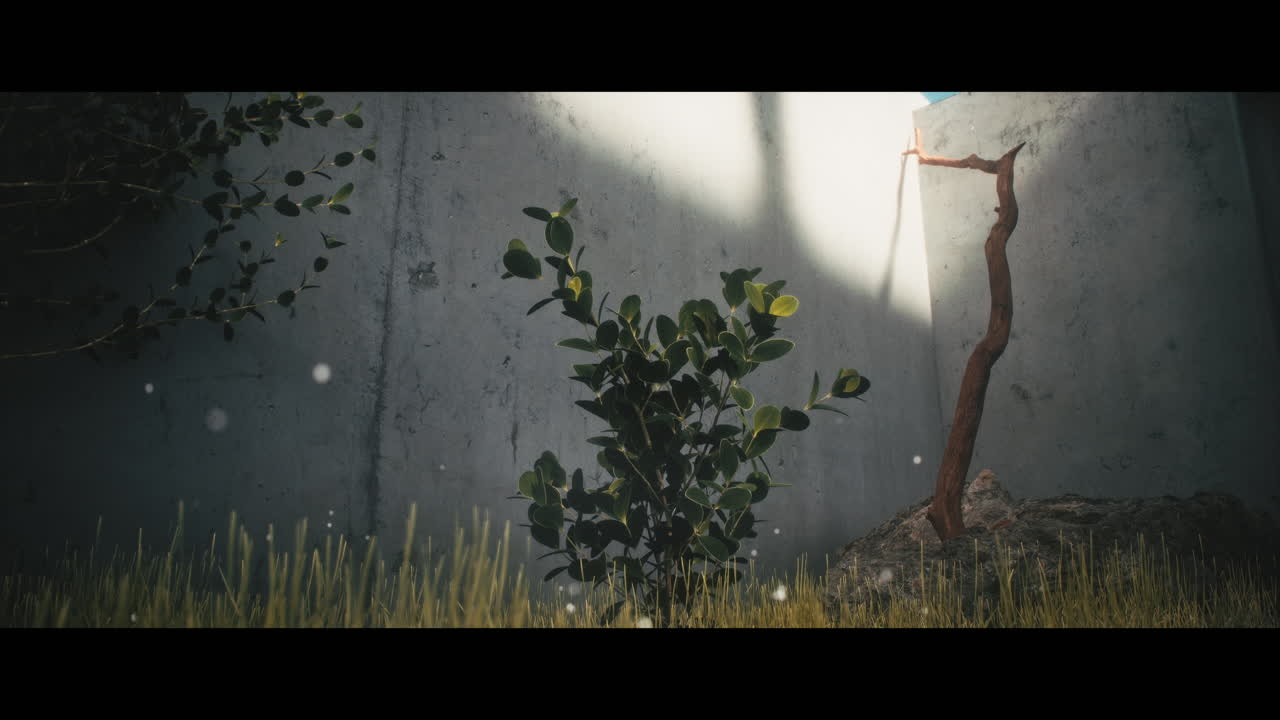 A Small Garden Patch with Sunlight