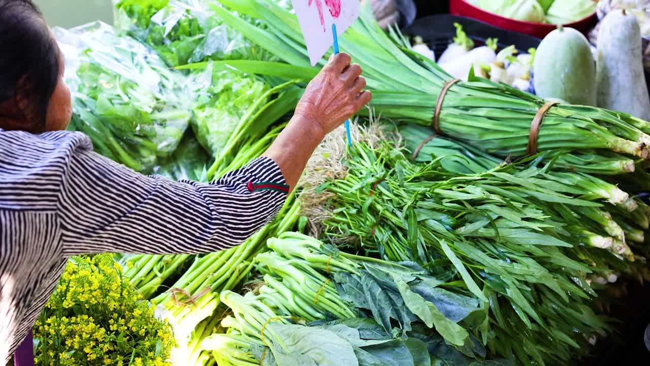 떠다니는 시장에서 신선한 채소를 선택하는 것