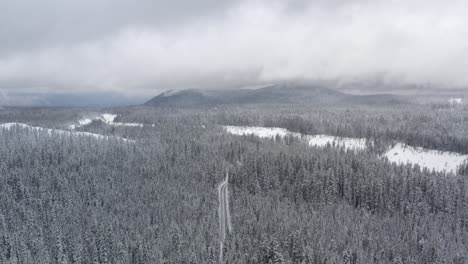 snowy scene featuring a road surrounded by forest