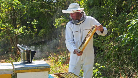 bee master examines honeycomb. beekeeper in white protective uniform holding frame with bees on green nature background. apiarist in summer.
