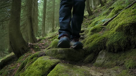 person hiking up a mossy forest path