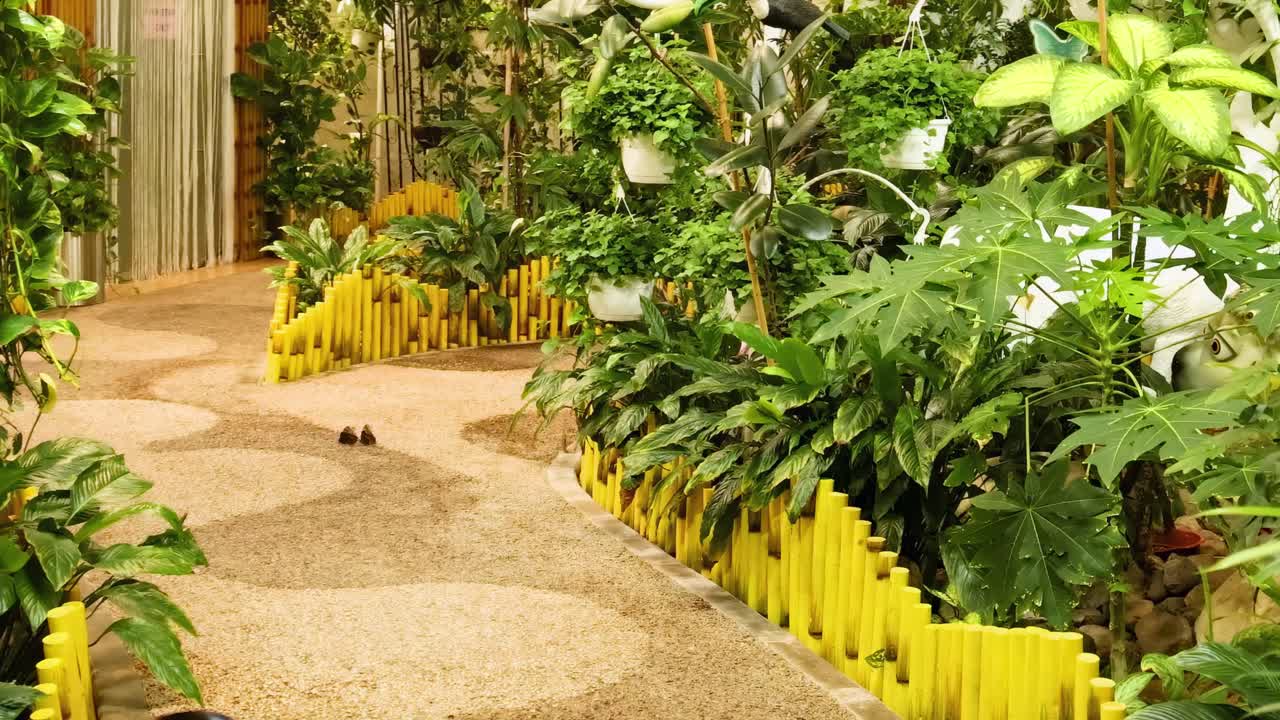 un camino de jardín sereno rodeado de vegetación