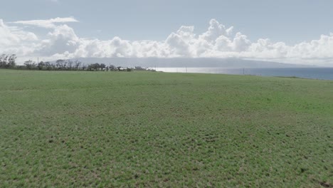 maui county agricultural farmland range pastureland grazing land