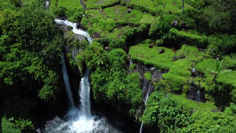 drone captura la toma aérea del agua que corre a través del campo verde plantado del agricultor y finalmente cae en el estanque