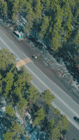 dense evergreen pine trees surround grey asphalt road with driving cars in spring vertical aerial view