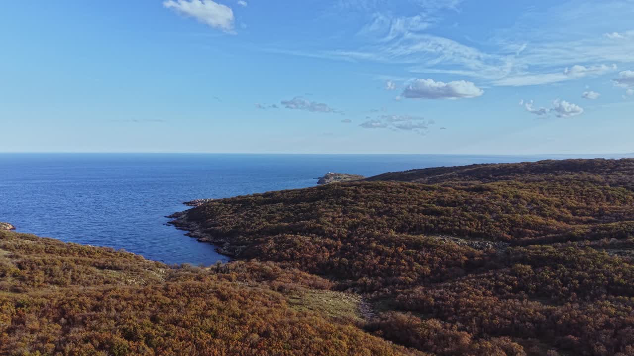 Aerial view of serene coastline and lush hills on a clear day