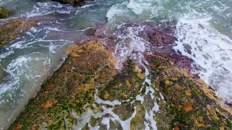 close-up footage of beach waves hitting mossy rocks