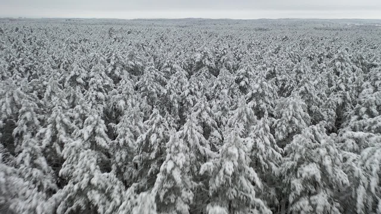 공중:무인기가 회색빛 하늘을 배경으로 숲 위를 날아다니는 얼음처럼 추운 날씨