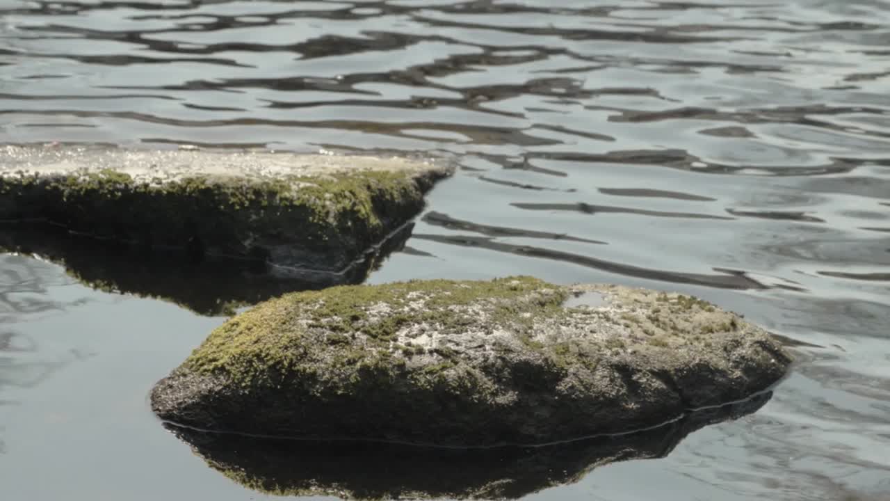 흐르는 물에 바위의 고요한 장면