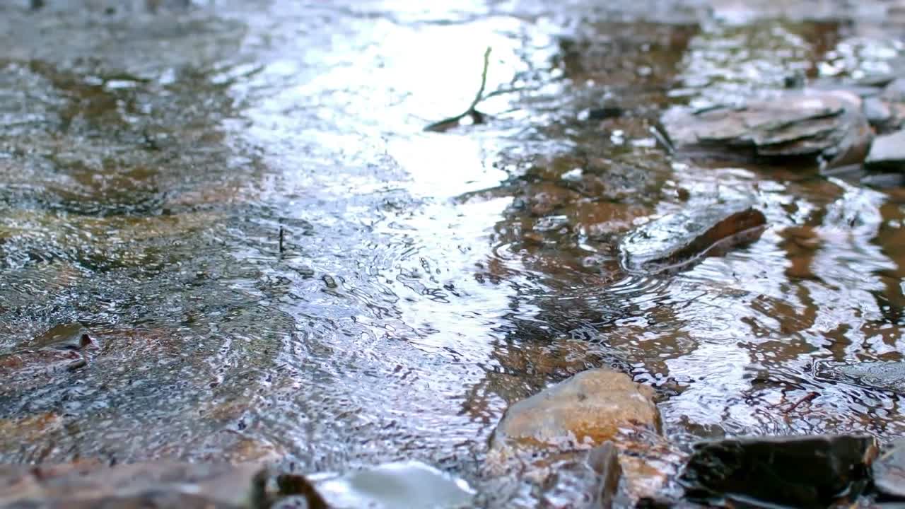 하천의 클로즈업