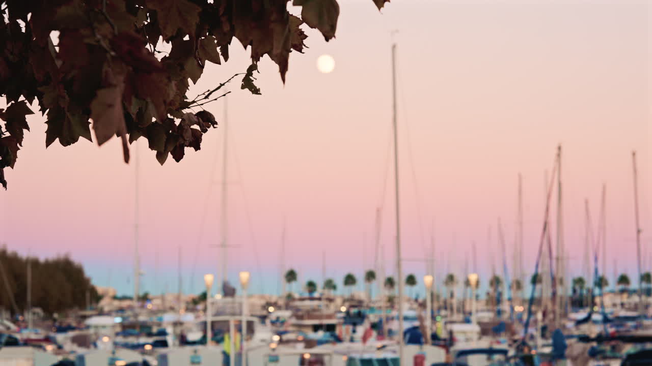 Wide shot of a busy marina filled with boats and masts at pastel sunset, with autumn leaves in the corner and a full moon rising above the horizon