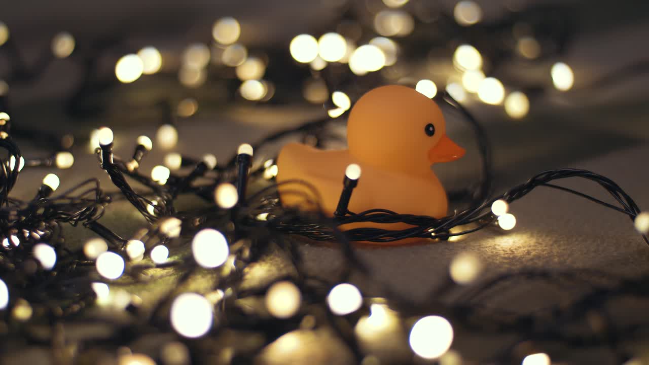 toma de primer plano de un pato de goma en el fondo de una guirnalda de navidad en un playd. decoración del hogar