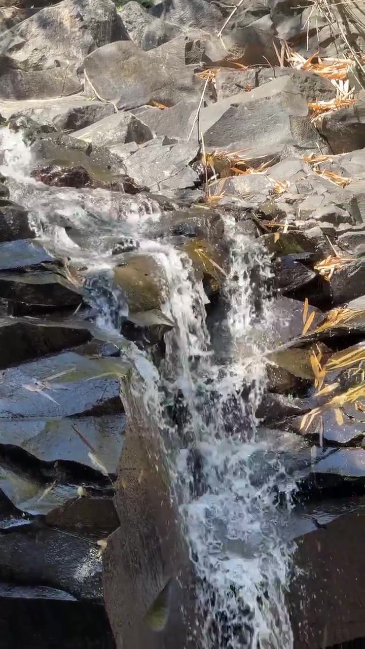 Piccola cascata che scorre su rocce di basalto scuro in una foresta tropicale.