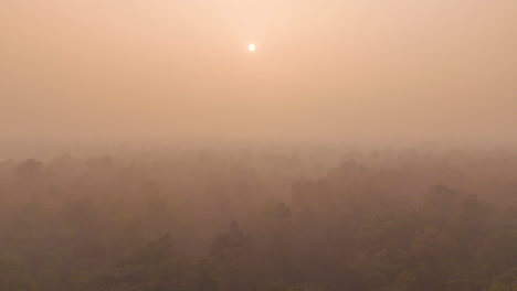 Un-Dron-Se-Desliza-Por-Un-Bosque-Brumoso-En-El-Este-De-Nepal