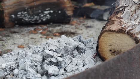 Heiße-Glut-Der-Kohle-Aus-Brennendem-Holz,-Rauch-Steigt-Aus-Den-Verkohlten-Scheiten---Nahaufnahme