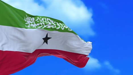 bezszwonowa pętla flagi somalilandu.