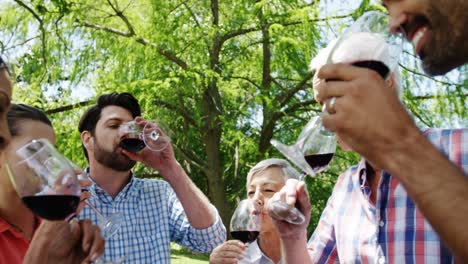 Family-toasting-glasses-of-red-wine-in-the-park