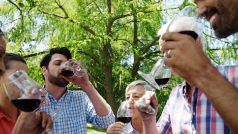 familia brindando copas de vino tinto en el parque