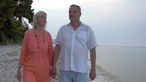 Adult-couple-walking-on-beach-and-talking