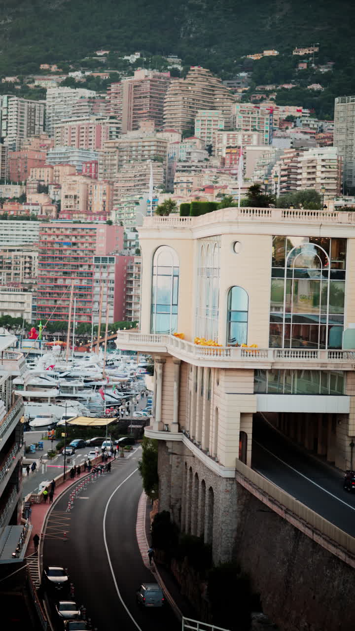 View of boats docked in the Monaco Marina with the skyline of the city on the background. Vertical