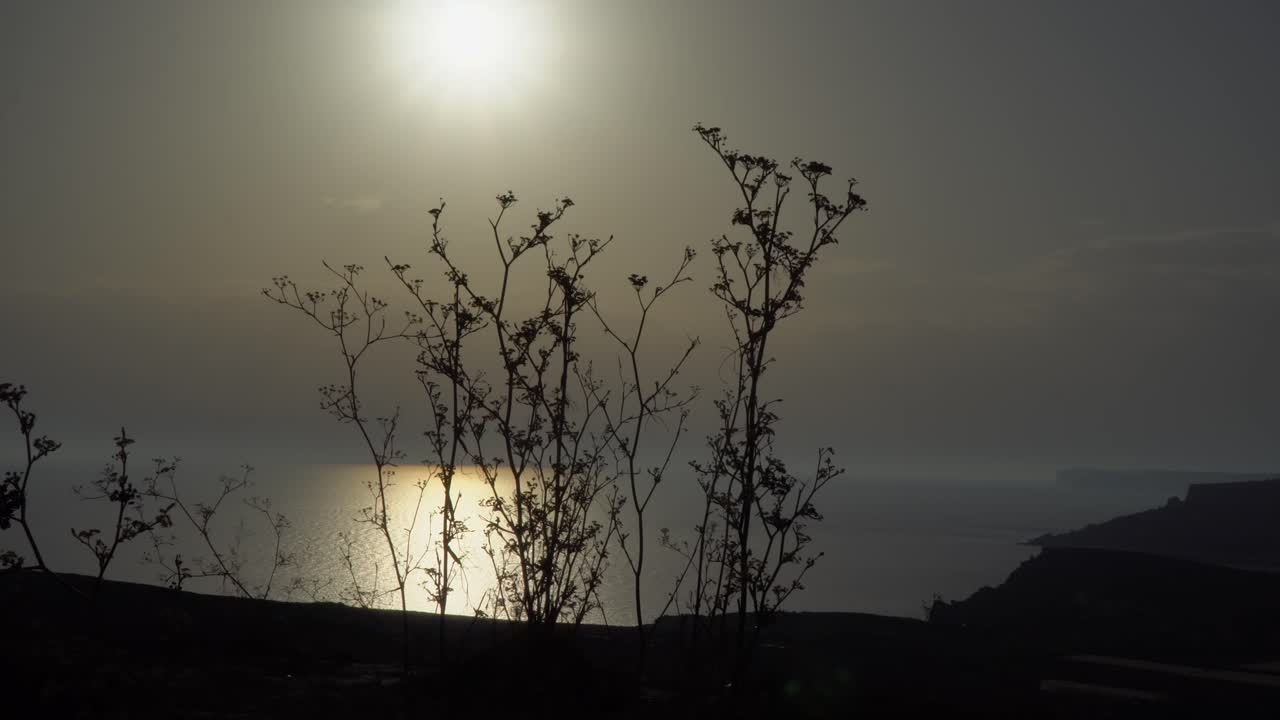태양의 실루과 지중해에서 반사되는 마르테즈 꽃 뒤의 모습.
