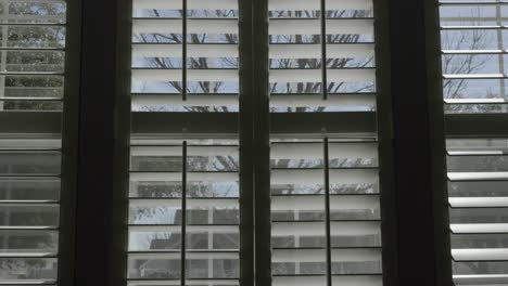 Looking-out-of-the-window-with-custom-plantation-shutters