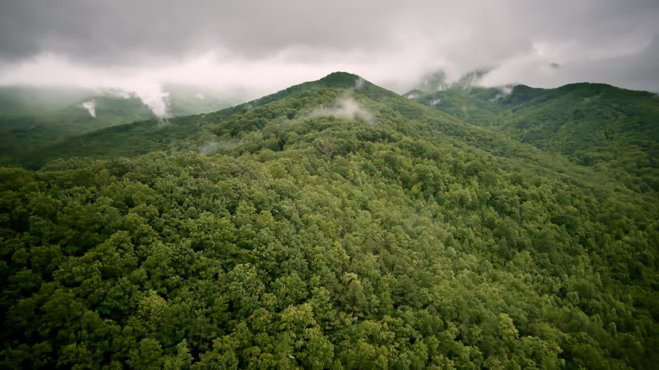 Aerial cinematic sweep across a quiet Smoky Mountain valley shrouded in mist